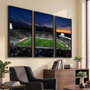 Michigan State Spartans Football Team Print - East Lansing
