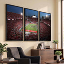Ohio State University Buckeyes Football Team Print -
