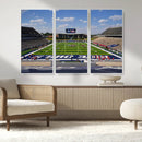 Rice University Owls Football Team Print - Houston Rice by MyGreatCanvas | Canvas Wall Art Prints | Photo Prints & Wall Decor