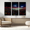 Rutgers Scarlet Knights Football Team Print - SHI Stadium,