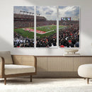 Rutgers Scarlet Knights Football Team Print - SHI Stadium,