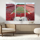 Rutgers Scarlet Knights Football Team Print - Piscataway SHI by MyGreatCanvas | Canvas Wall Art Prints | Photo Prints & Wall Decor