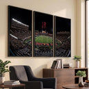 Framed Texas Tech Red Raiders Stadium Canvas, Texas Tech Red