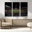 Framed Texas Tech Red Raiders Stadium Canvas, Texas Tech Red