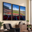 Ball State Cardinals Football Team Print - Muncie Scheumann
