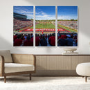 Ball State Cardinals Football Team Print - Muncie Scheumann