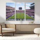 TCU Horned Frogs Football Team Print - Fort Worth Amon G.