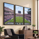 TCU Horned Frogs Football Team Print - Fort Worth Amon G.