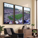 The Texas Christian University TCU Horned Frogs Football