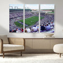 The Texas Christian University TCU Horned Frogs Football