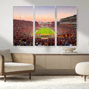 The University of Southern California USC Trojans Football by MyGreatCanvas | Canvas Wall Art Prints | Photo Prints & Wall Decor