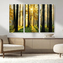 Sunlit Forest Wall Art Canvas Print – Large Framed Woodland