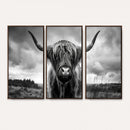Scottish Cow Wall Art Canvas Print | Longhorn Wall Art |