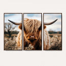 Scottish Cow Longhorn Wall Art Canvas Print