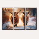 Scottish Highland Cow Horn Farm Wall Art Canvas Print