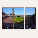 Cincinnati Reds Baseball Canvas Print - American Ball