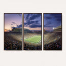 Notre Dame Fighting Irish Football Team Print - Notre Dame