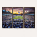 Kroger Field Wall Art Print - Kentucky Stadium Wall Art
