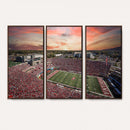 Indiana Memorial Stadium Wall Art Canvas Print, Framed