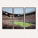 Chicago Bears Soldiers Field Wall Art Canvas Print – Framed