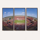 William Brice Stadium Wall Art Canvas Print – Stadium Crowd