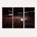 William Brice Stadium Wall Art Print – Baseball Game Room