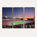 Dooley Stadium Wall Art, Sports Arena Canvas Print, Dooley