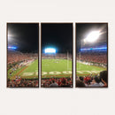 Dooley Stadium Wall Art, Sports Arena Panoramic Canvas