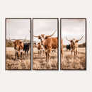 Texas Longhorn Cattle Wall Art Canvas Print, Sepia Western