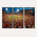 Clemson Tigers Memorial Stadium Wall Art Canvas Print