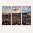 Donald W. Reynolds Razorback Stadium Wall Art Canvas Print –