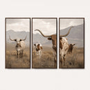 Rustic Texas Longhorn Cow Canvas Wall Art Print, Rustic Farm Animal Photography Print, Farmhouse Country Decor, Western Ranch Art