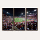 Washington-Grizzly Stadium Canvas Print, American Football
