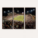 Washington-Grizzly Stadium Canvas Wall Art – Exciting Game