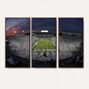 Penn State University Nittany Lions Football Team Print -