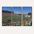 University of Missouri Tigers Football Team Print - Columbia