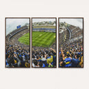 Boca Juniors Soccer Team Print Wall Art - Buenos Aires
