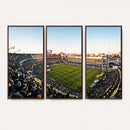 Boca Juniors Soccer Team Print - Buenos Aires Bombonera