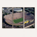 Michigan Wolverines Football Team Print - Ann Arbor Michigan