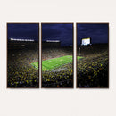 Michigan Wolverines Football Canvas Wall Decor, Football