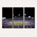 Buffalo Bills Wall Art - Buffalo Bills Stadium Canvas Print,