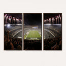 Eagles Field Stadium Wall Art - Philadelphia Eagles Football