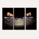 Eagles Field Stadium Wall Art - Lincoln Financial Field