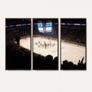 Canada Life Centre Wall Art | Winnipeg Jets Hockey Team