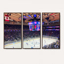 Madison New York Rangers Hockey Stadium Wall Art Canvas
