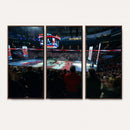 Rogers Arena Vancouver Canucks Ice Hockey Stadium Wall Art,