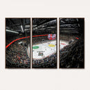 Vaudoise Lausanne Ice Hockey Arena Stadium Wall Art Canvas,