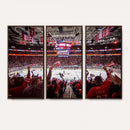 Carolina Hurricanes Ice Hockey Stadium Wall Art, Carolina