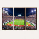 NC State Wolfpack Canvas Print - Raleigh Carter-Finley