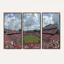 NC State Wolfpack Football Team Print Canvas- Raleigh